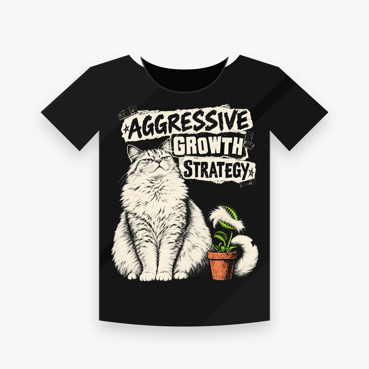 AGGRESSIVE GROWTH STRATEGY