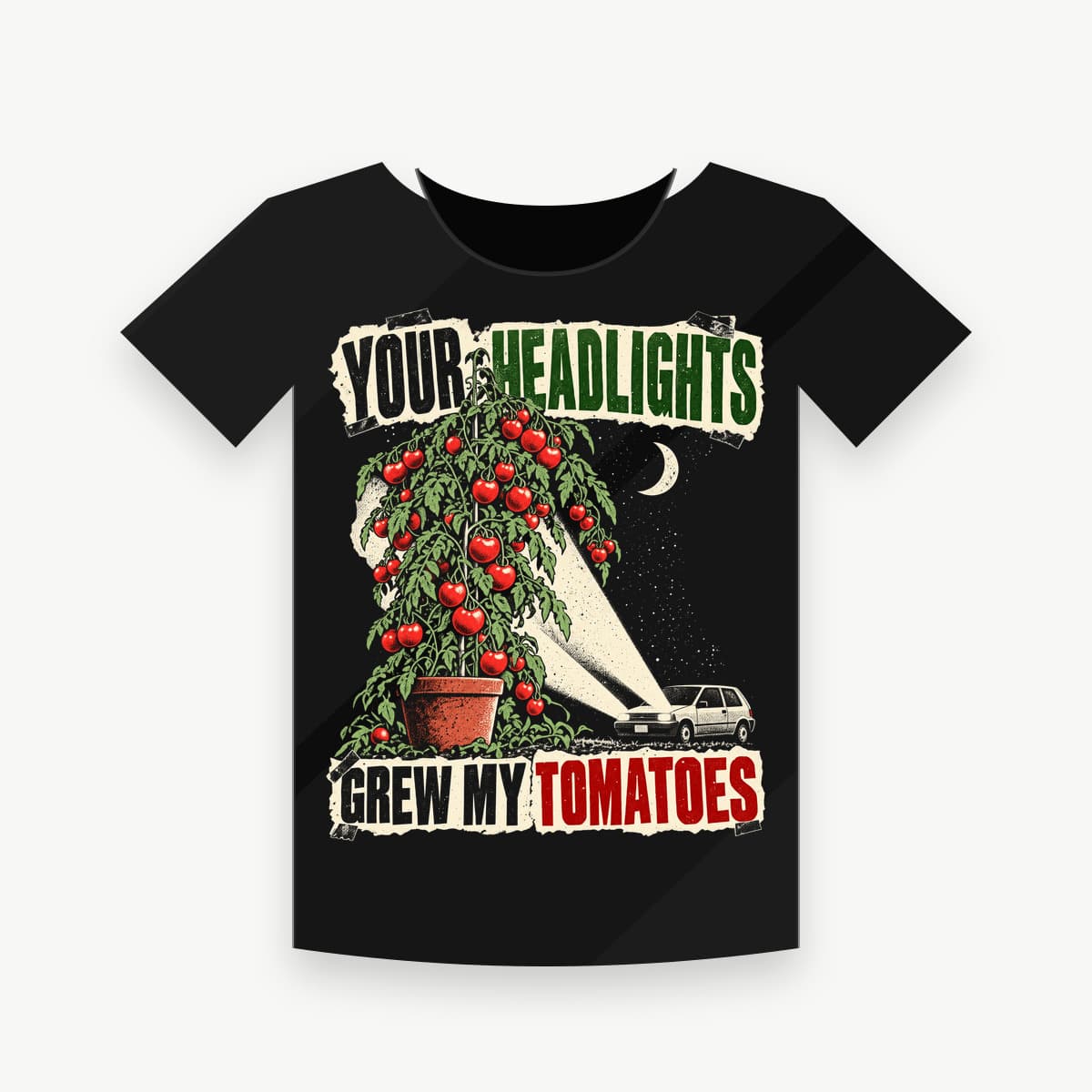 YOUR HEADLIGHTS GREW MY TOMATOES