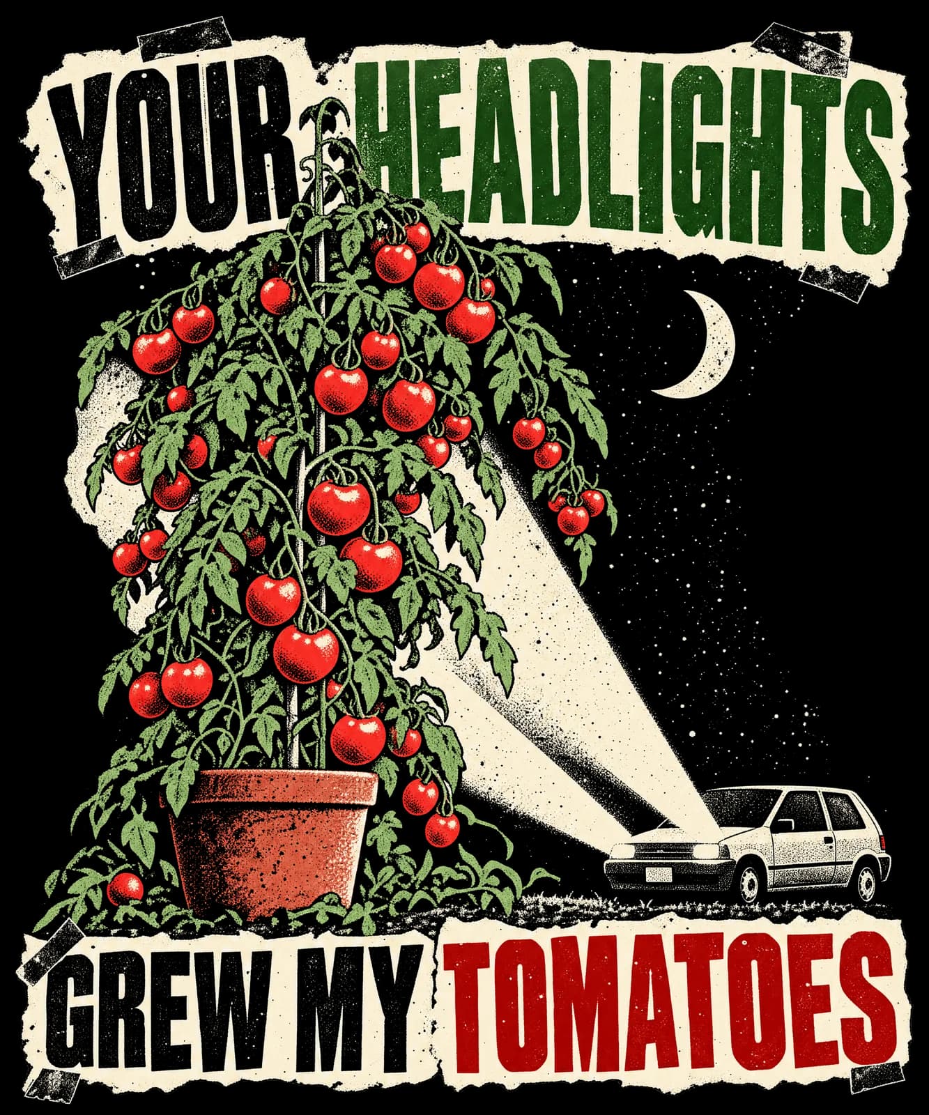 YOUR HEADLIGHTS GREW MY TOMATOES